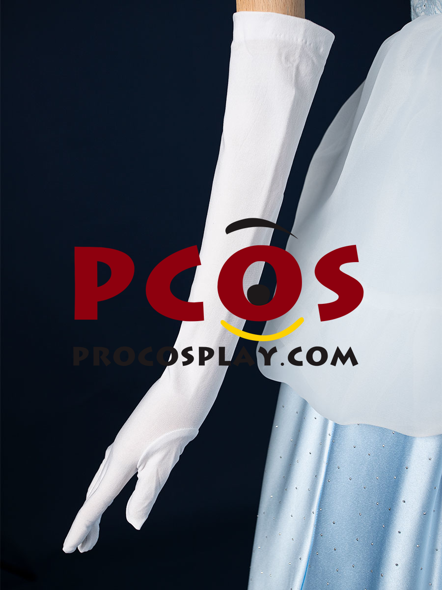 Cinderella Cartoon Version Cosplay Costume C08290