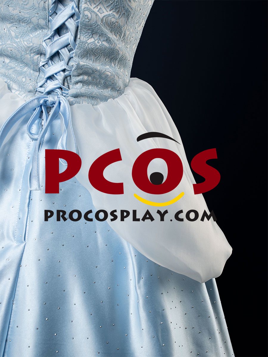 Cinderella Cartoon Version Cosplay Costume C08290