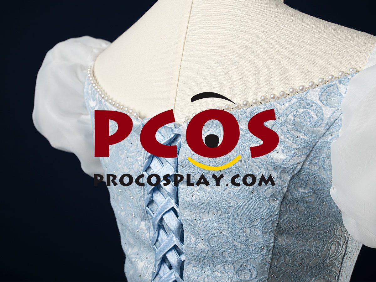 Cinderella Cartoon Version Cosplay Costume C08290