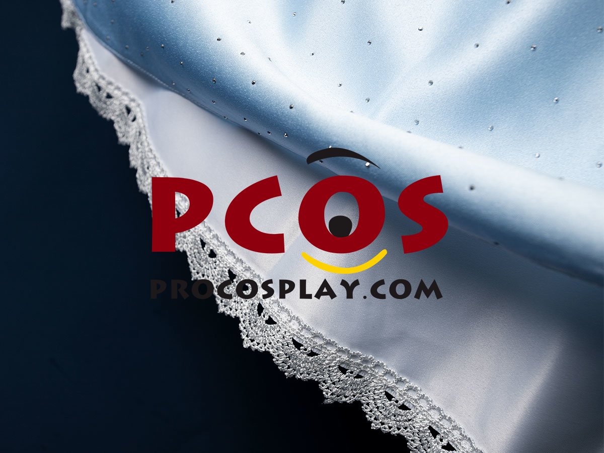 Cinderella Cartoon Version Cosplay Costume C08290