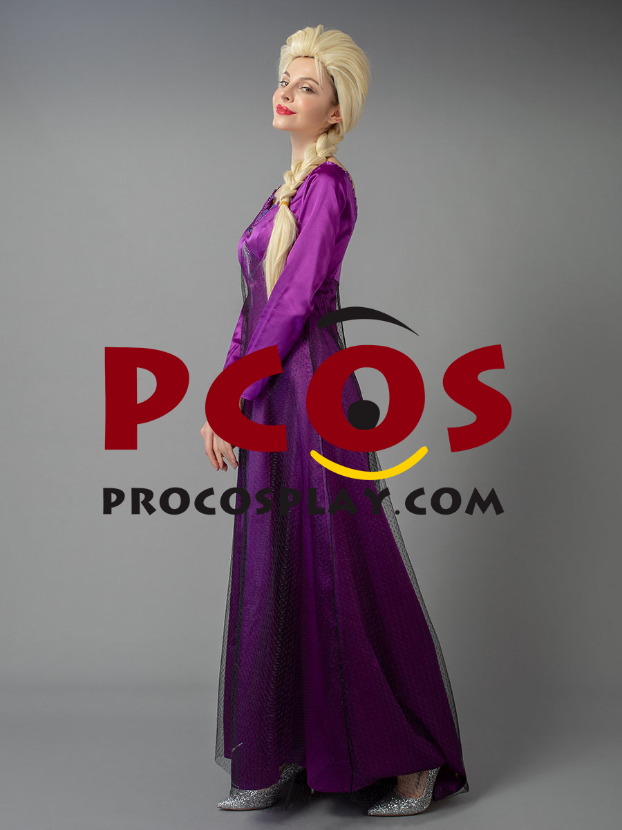 Frozen 2 Elsa Cosplay Costume mp005299