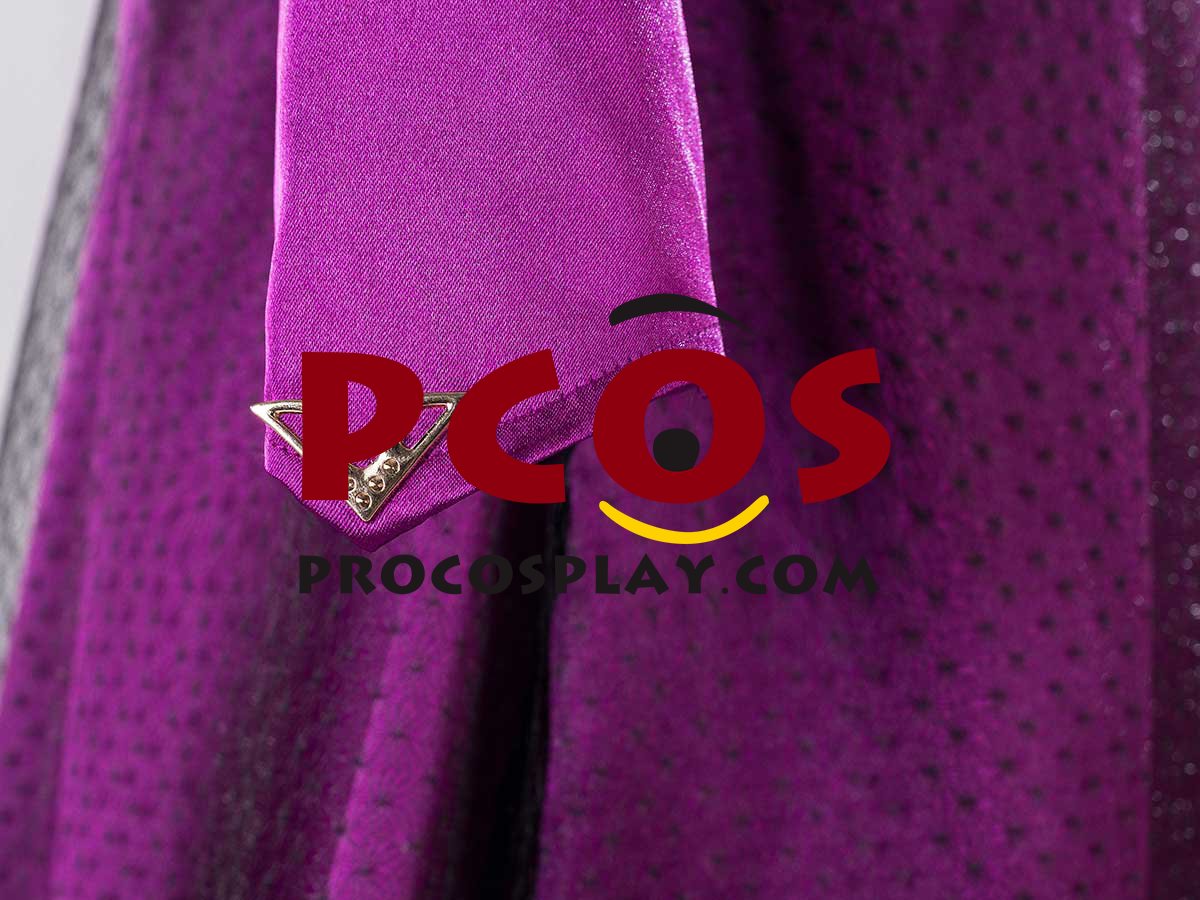 Frozen 2 Elsa Cosplay Costume mp005299