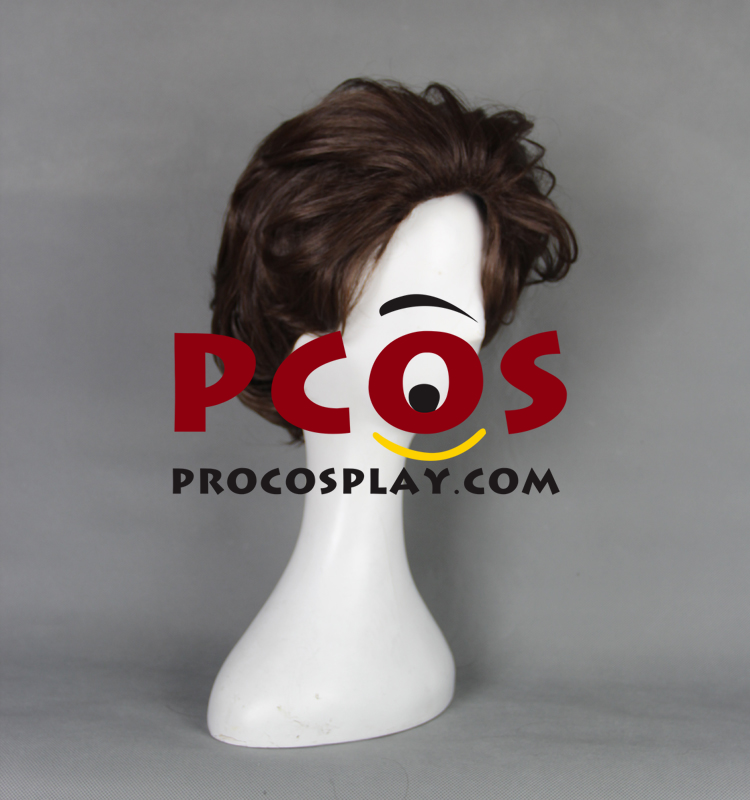 Cinderella Film Prince Cosplay Wigs 360D