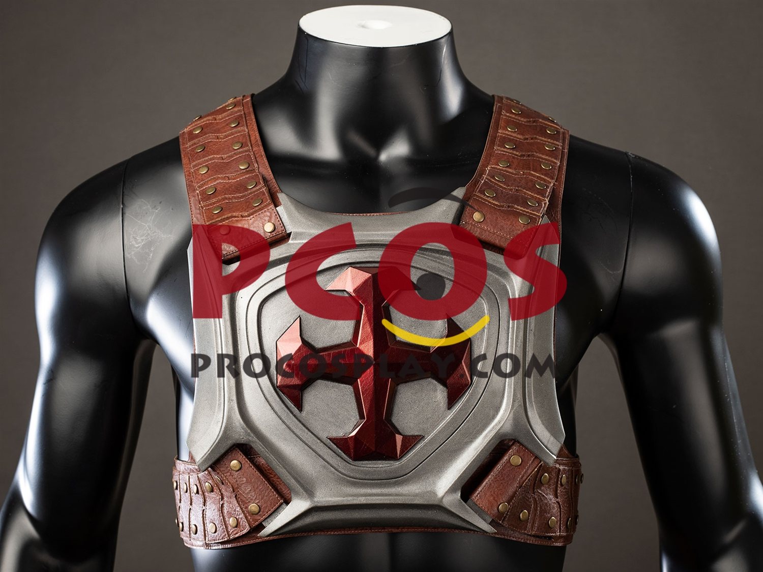 Masters of the Universe He-man Cosplay Costume C10034
