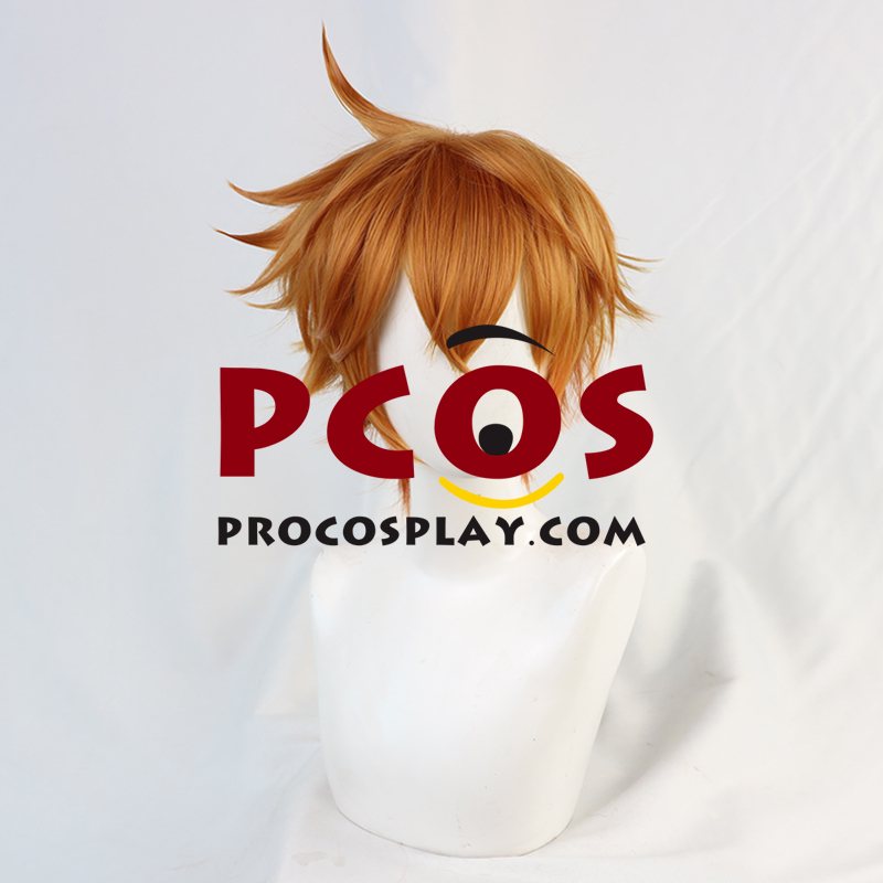 (image for) Genshin Impact Tartaglia Cosplay Wigs C00417