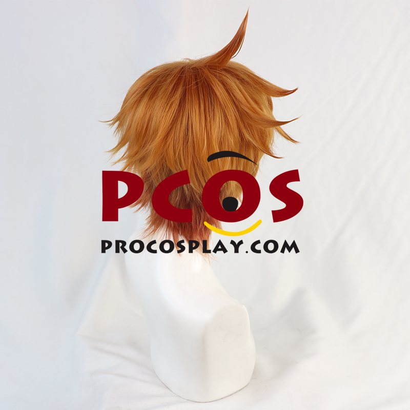 Genshin Impact Tartaglia Cosplay Wigs C00417