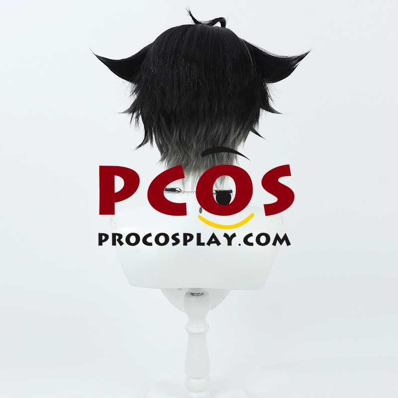 Genshin Impact Wriothesley Cosplay Wig C08630