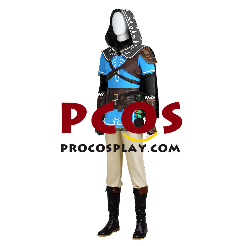 The Legend of Zelda: Tears of the Kingdom Link Cosplay Costume C07302S Upgrade Version