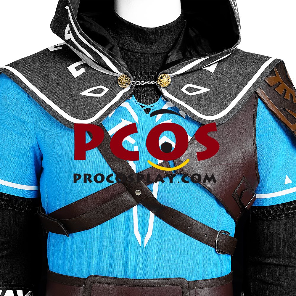 The Legend of Zelda: Tears of the Kingdom Link Cosplay Costume C07302S Upgrade Version