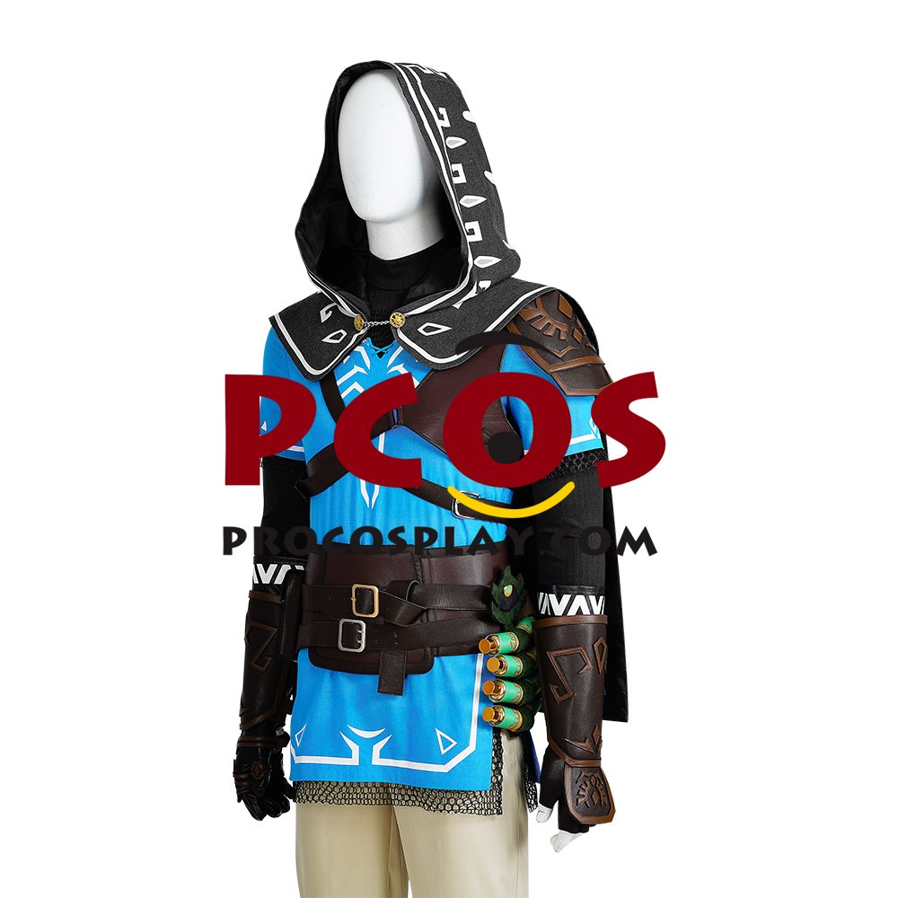 The Legend of Zelda: Tears of the Kingdom Link Cosplay Costume C07302S Upgrade Version