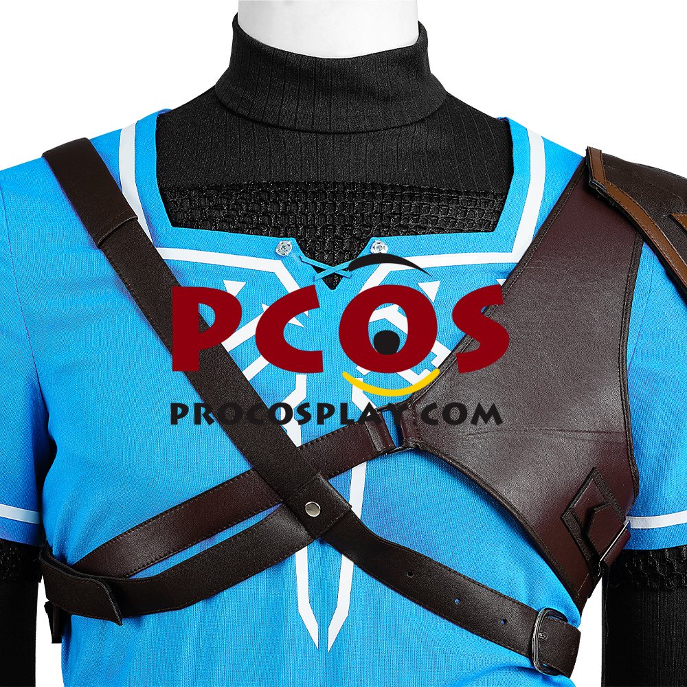 The Legend of Zelda: Tears of the Kingdom Link Cosplay Costume C07302S Upgrade Version