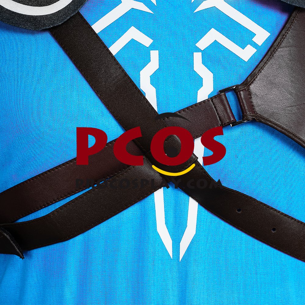 The Legend of Zelda: Tears of the Kingdom Link Cosplay Costume C07302S Upgrade Version