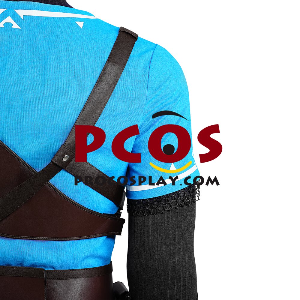 The Legend of Zelda: Tears of the Kingdom Link Cosplay Costume C07302S Upgrade Version