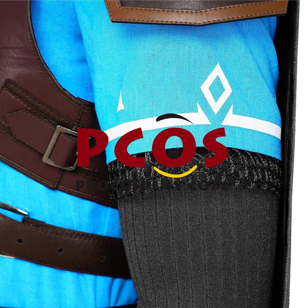 The Legend of Zelda: Tears of the Kingdom Link Cosplay Costume C07302S Upgrade Version