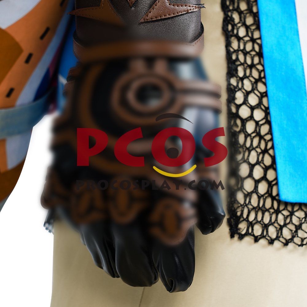 The Legend of Zelda: Tears of the Kingdom Link Cosplay Costume C07302S Upgrade Version