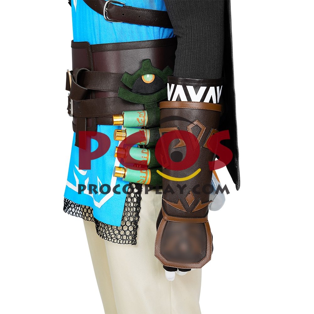 The Legend of Zelda: Tears of the Kingdom Link Cosplay Costume C07302S Upgrade Version