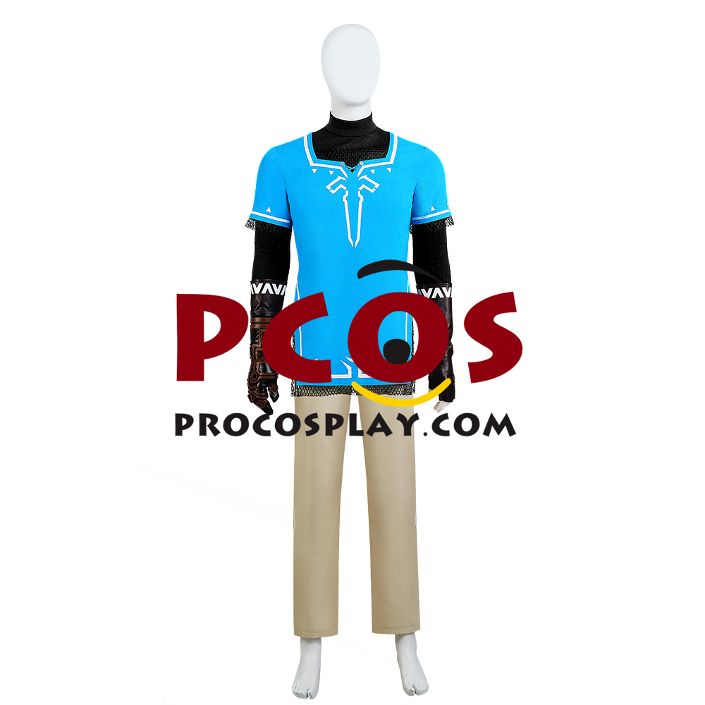 The Legend of Zelda: Tears of the Kingdom Link Cosplay Costume C07302S Upgrade Version