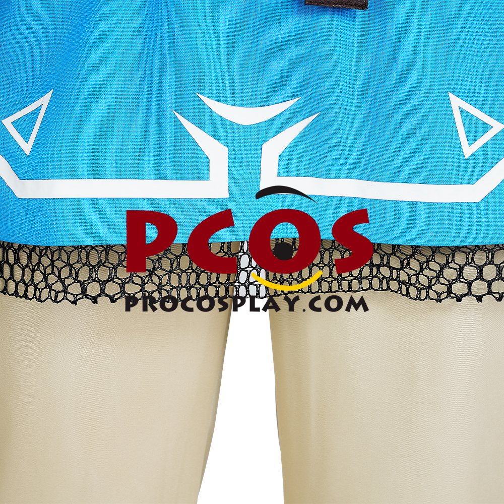 The Legend of Zelda: Tears of the Kingdom Link Cosplay Costume C07302S Upgrade Version