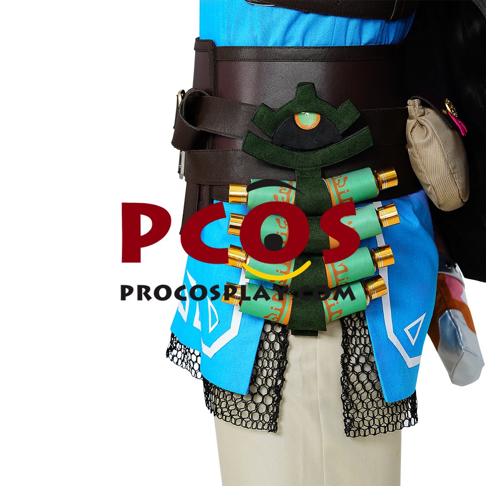The Legend of Zelda: Tears of the Kingdom Link Cosplay Costume C07302S Upgrade Version