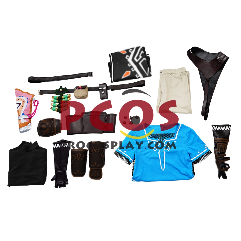The Legend of Zelda: Tears of the Kingdom Link Cosplay Costume C07302S Upgrade Version
