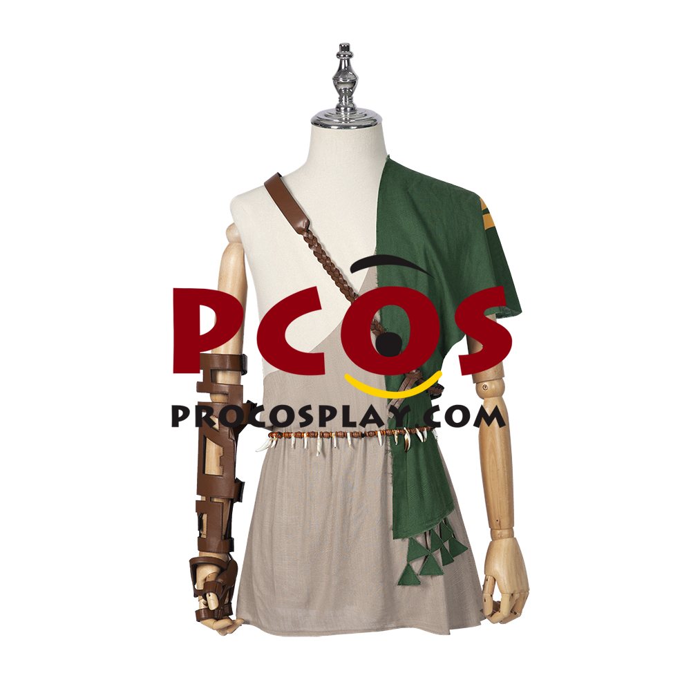 The Legend of Zelda: Breath of the Wild 2 Link Cosplay Costume C02953 (image for) The Legend of Zelda: Breath of the Wild 2 Link Cosplay Costume C02953