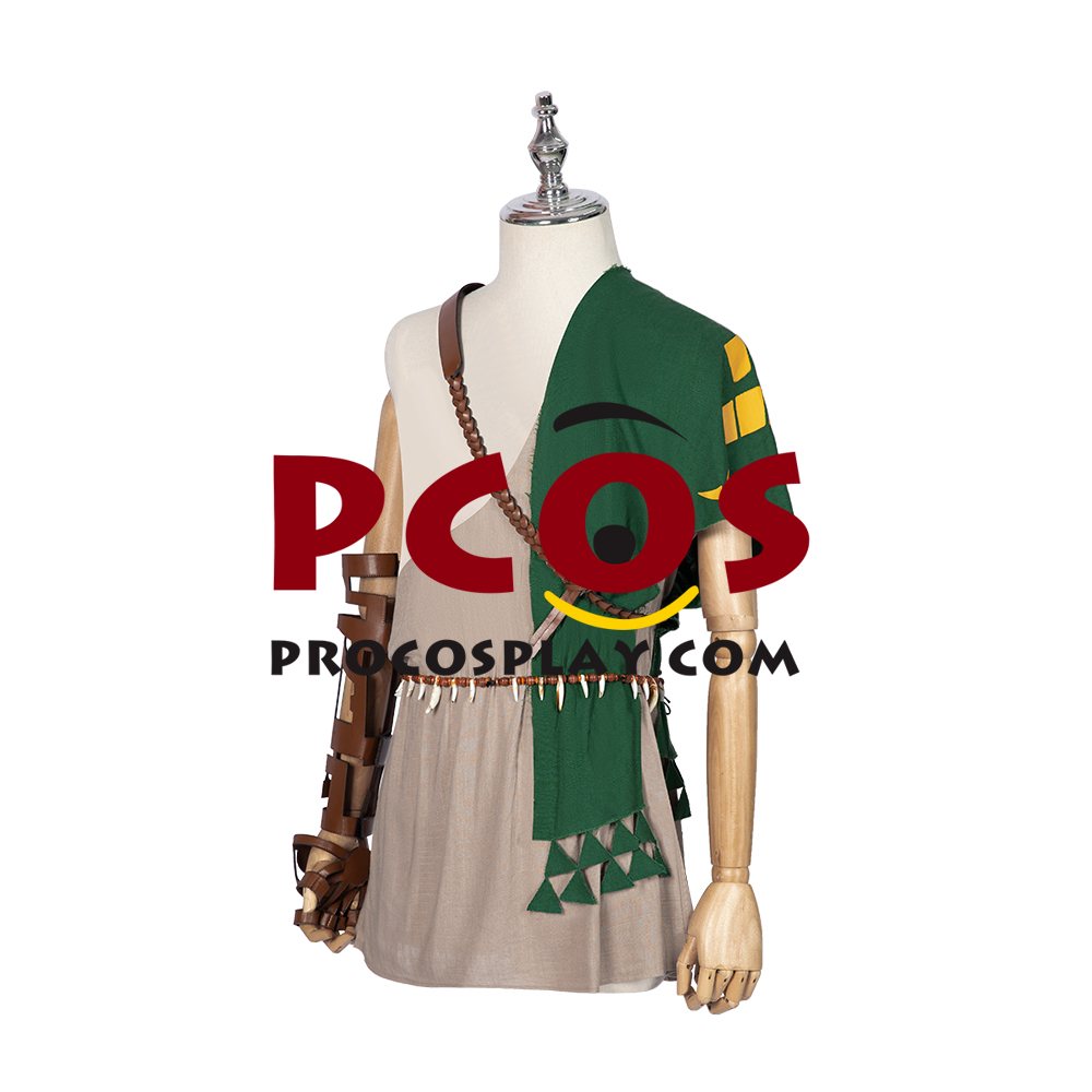 The Legend of Zelda: Breath of the Wild 2 Link Cosplay Costume C02953