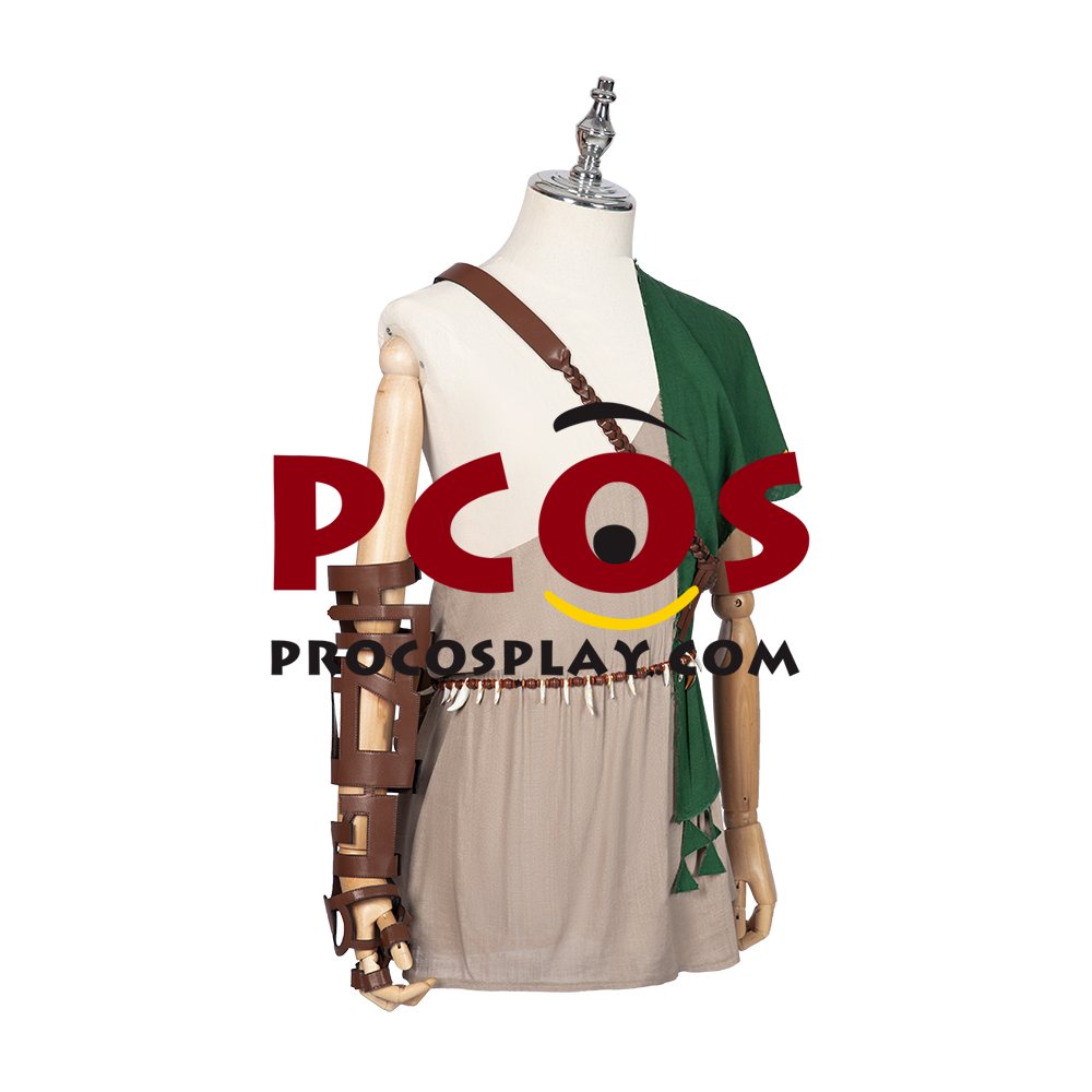 The Legend of Zelda: Breath of the Wild 2 Link Cosplay Costume C02953