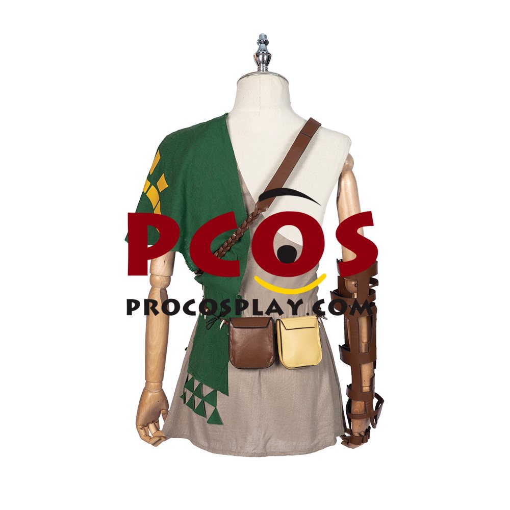 The Legend of Zelda: Breath of the Wild 2 Link Cosplay Costume C02953