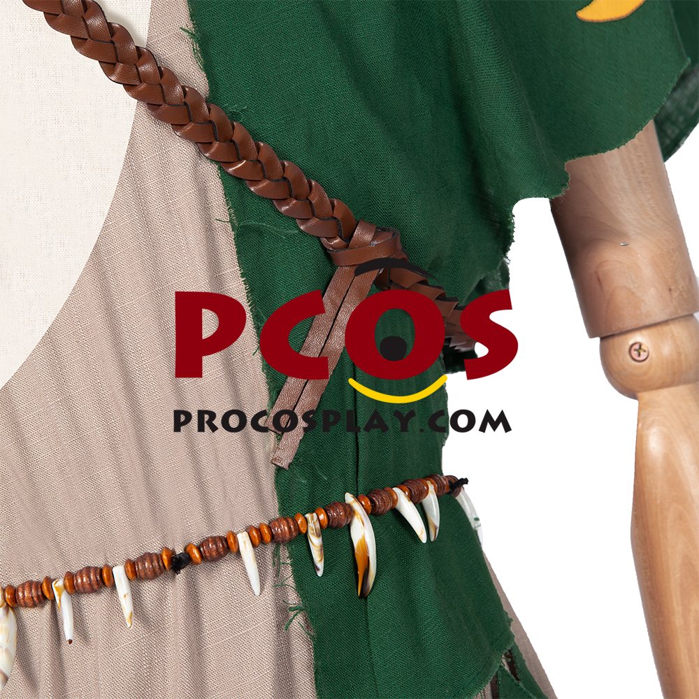 The Legend of Zelda: Breath of the Wild 2 Link Cosplay Costume C02953