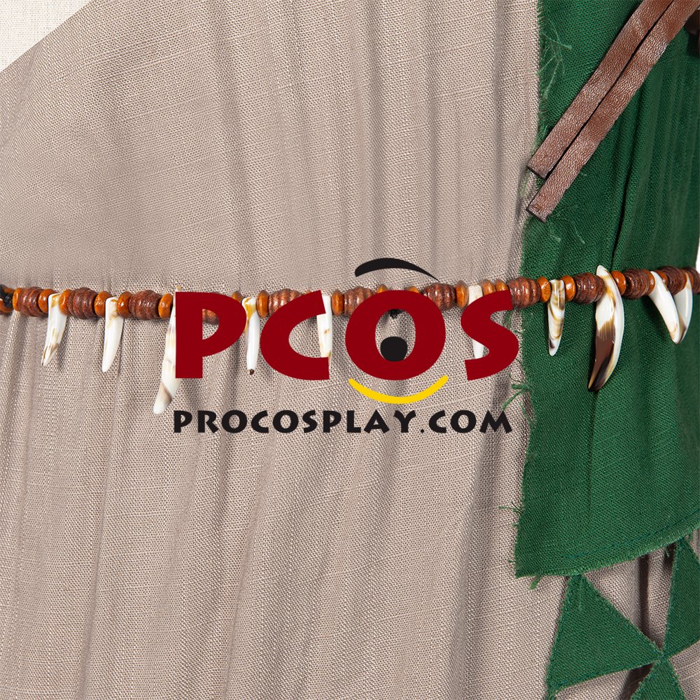 The Legend of Zelda: Breath of the Wild 2 Link Cosplay Costume C02953
