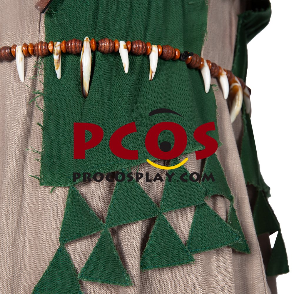 The Legend of Zelda: Breath of the Wild 2 Link Cosplay Costume C02953