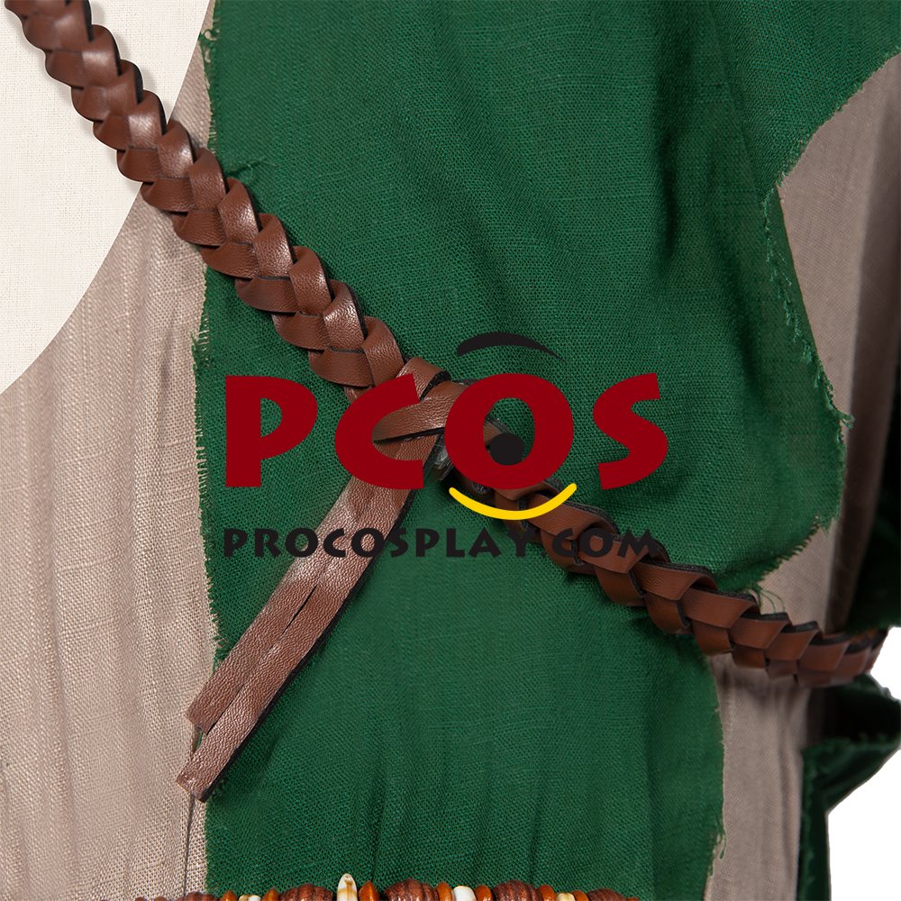 The Legend of Zelda: Breath of the Wild 2 Link Cosplay Costume C02953