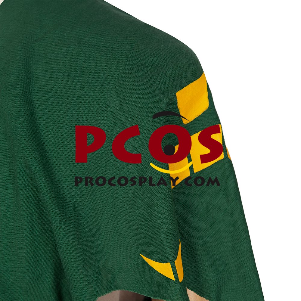 The Legend of Zelda: Breath of the Wild 2 Link Cosplay Costume C02953