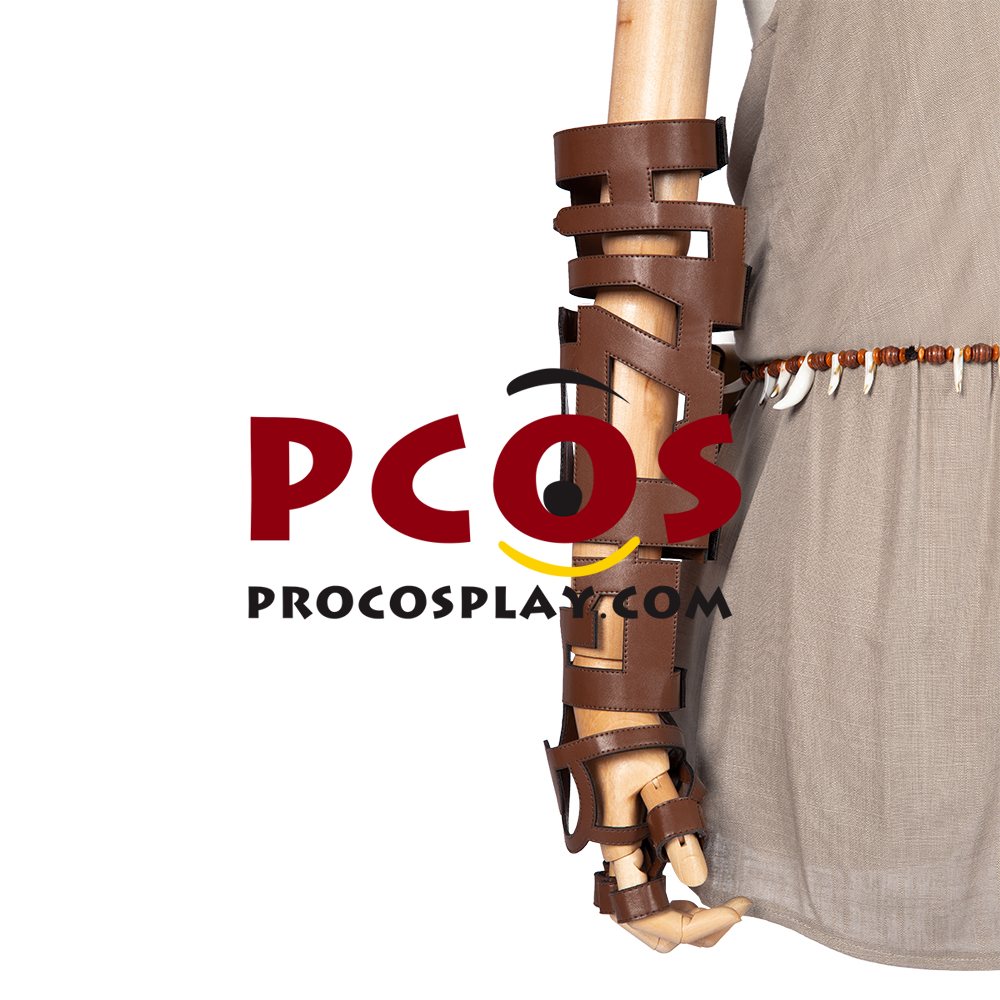 The Legend of Zelda: Breath of the Wild 2 Link Cosplay Costume C02953