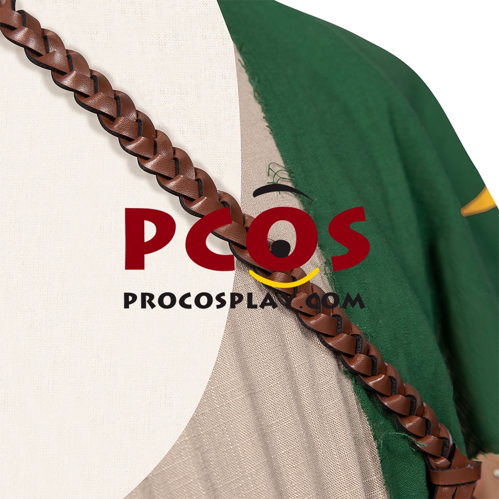 The Legend of Zelda: Breath of the Wild 2 Link Cosplay Costume C02953