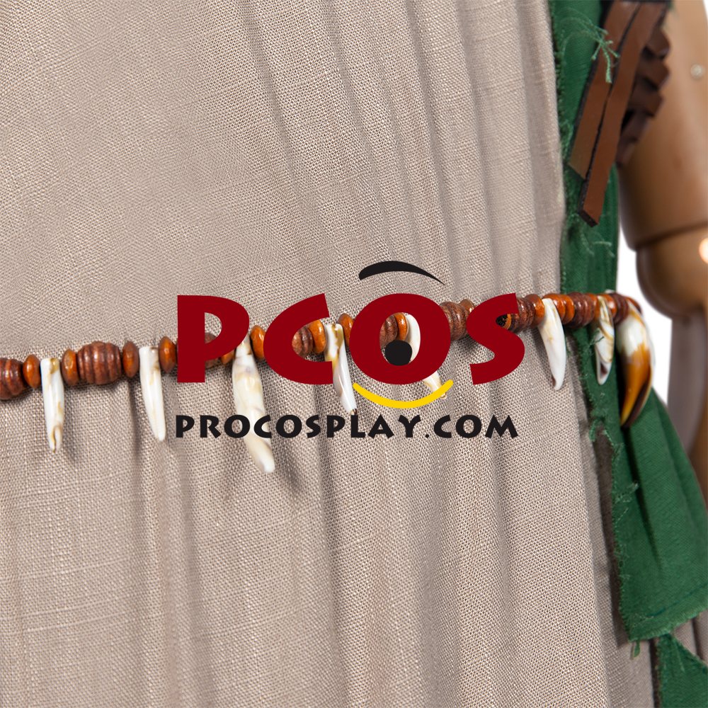 The Legend of Zelda: Breath of the Wild 2 Link Cosplay Costume C02953