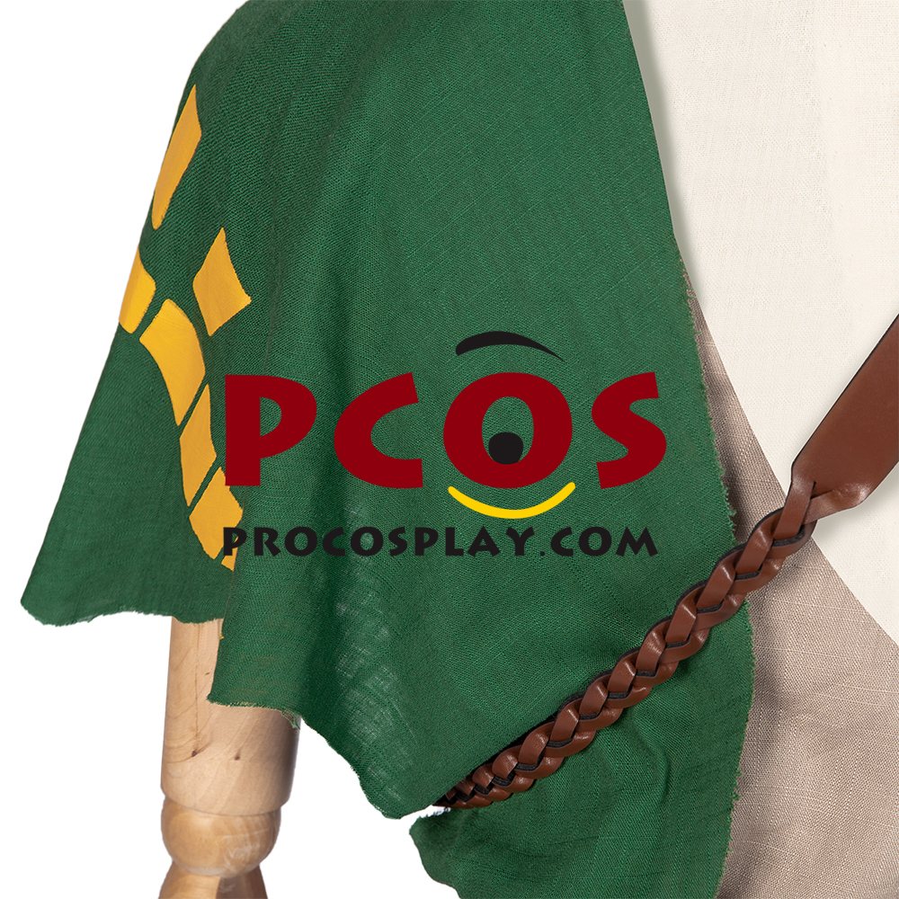 The Legend of Zelda: Breath of the Wild 2 Link Cosplay Costume C02953