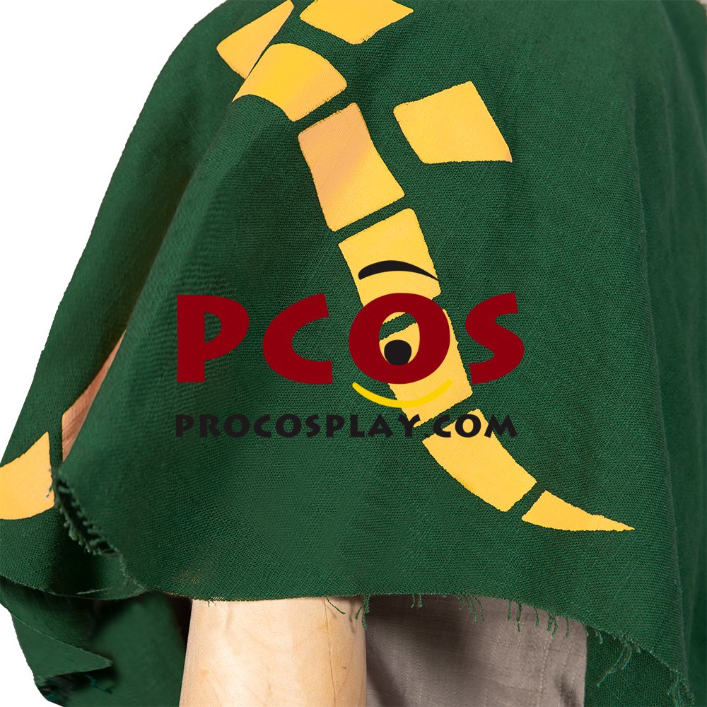 The Legend of Zelda: Breath of the Wild 2 Link Cosplay Costume C02953