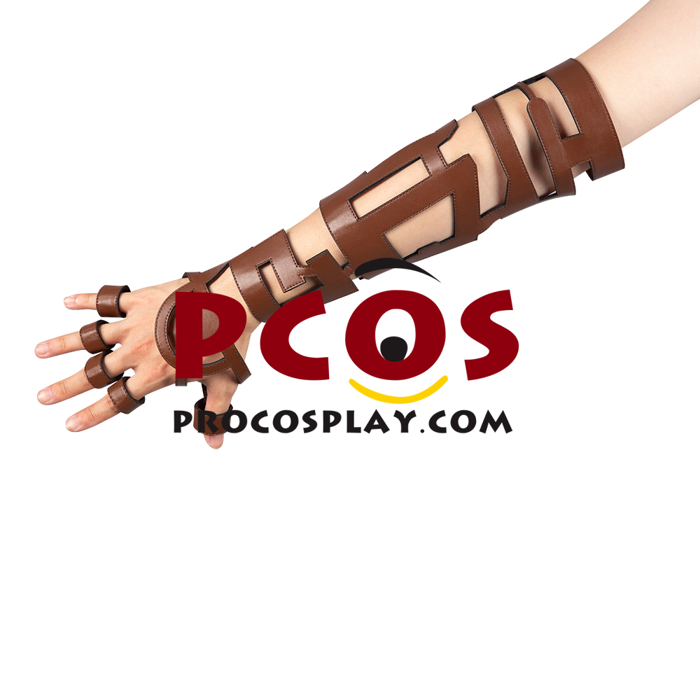 The Legend of Zelda: Breath of the Wild 2 Link Cosplay Costume C02953