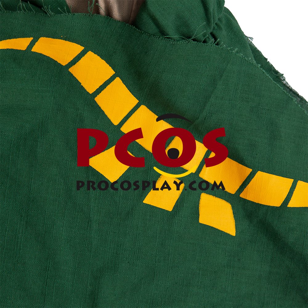 The Legend of Zelda: Breath of the Wild 2 Link Cosplay Costume C02953