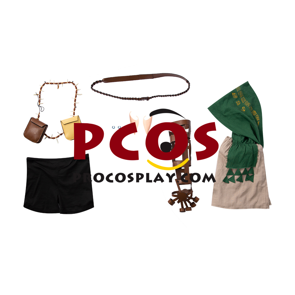 The Legend of Zelda: Breath of the Wild 2 Link Cosplay Costume C02953
