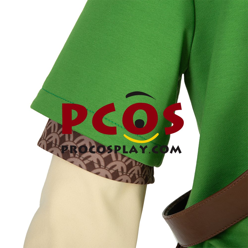 The Legend of Zelda: Skyward Sword Link Cosplay Costume C00724