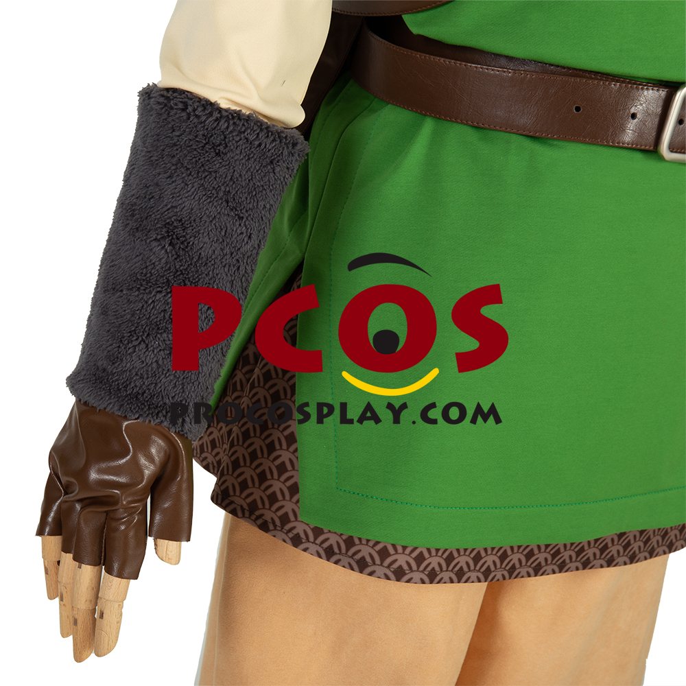 The Legend of Zelda: Skyward Sword Link Cosplay Costume C00724