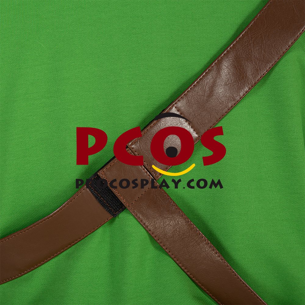 The Legend of Zelda: Skyward Sword Link Cosplay Costume C00724