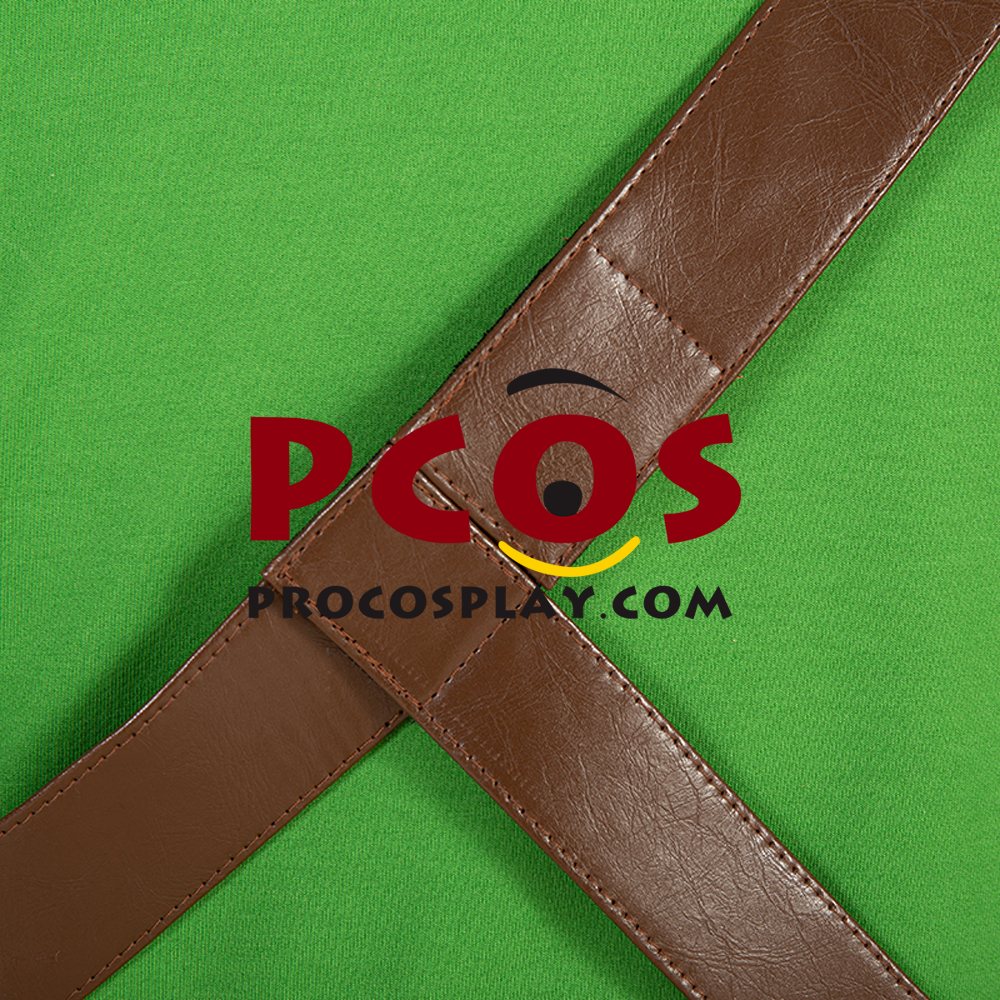 The Legend of Zelda: Skyward Sword Link Cosplay Costume C00724