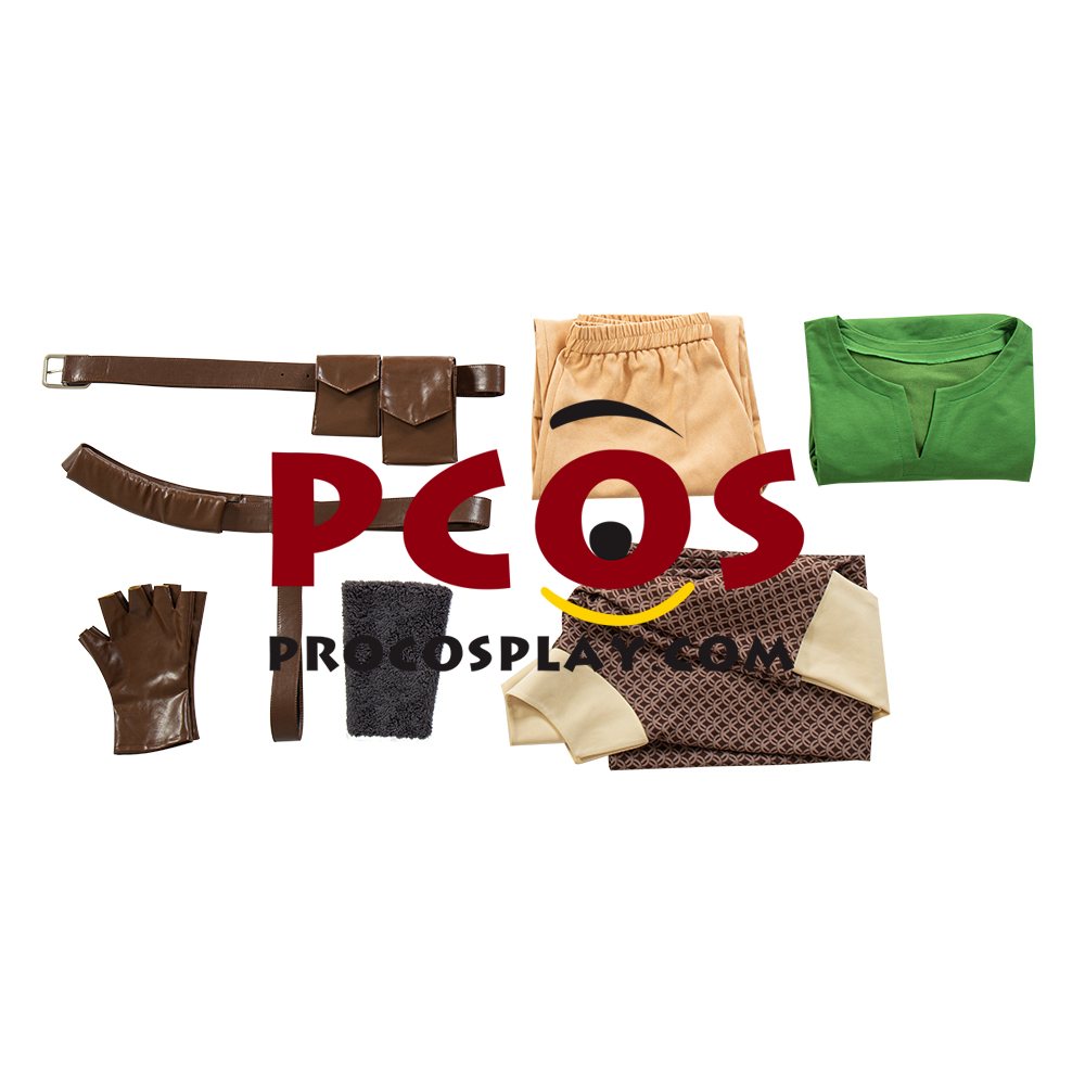 The Legend of Zelda: Skyward Sword Link Cosplay Costume C00724