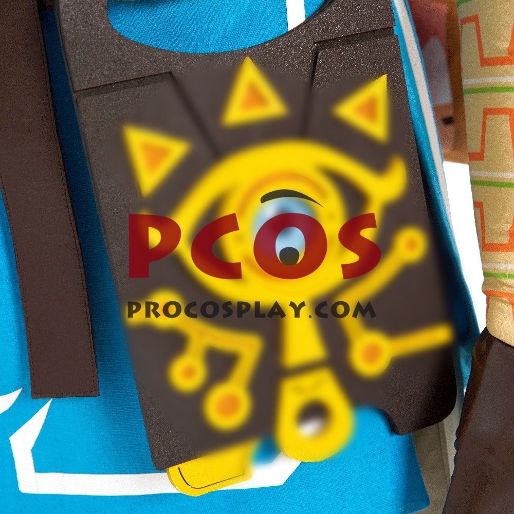 The Legend of Zelda: Breath of the Wild Link Champion's Tunic Cosplay Costume C08021