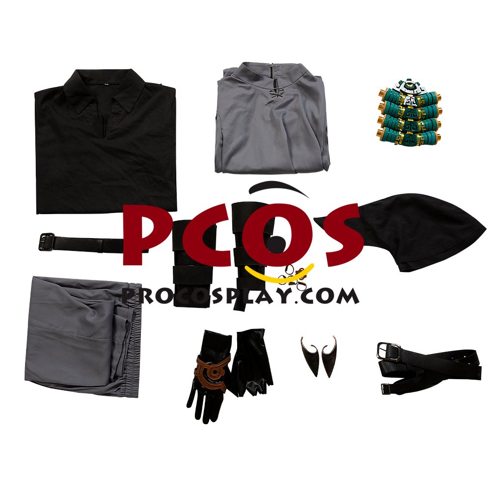The Legend of Zelda: Tears of the Kingdom Link Dark Version Cosplay Costume C08300