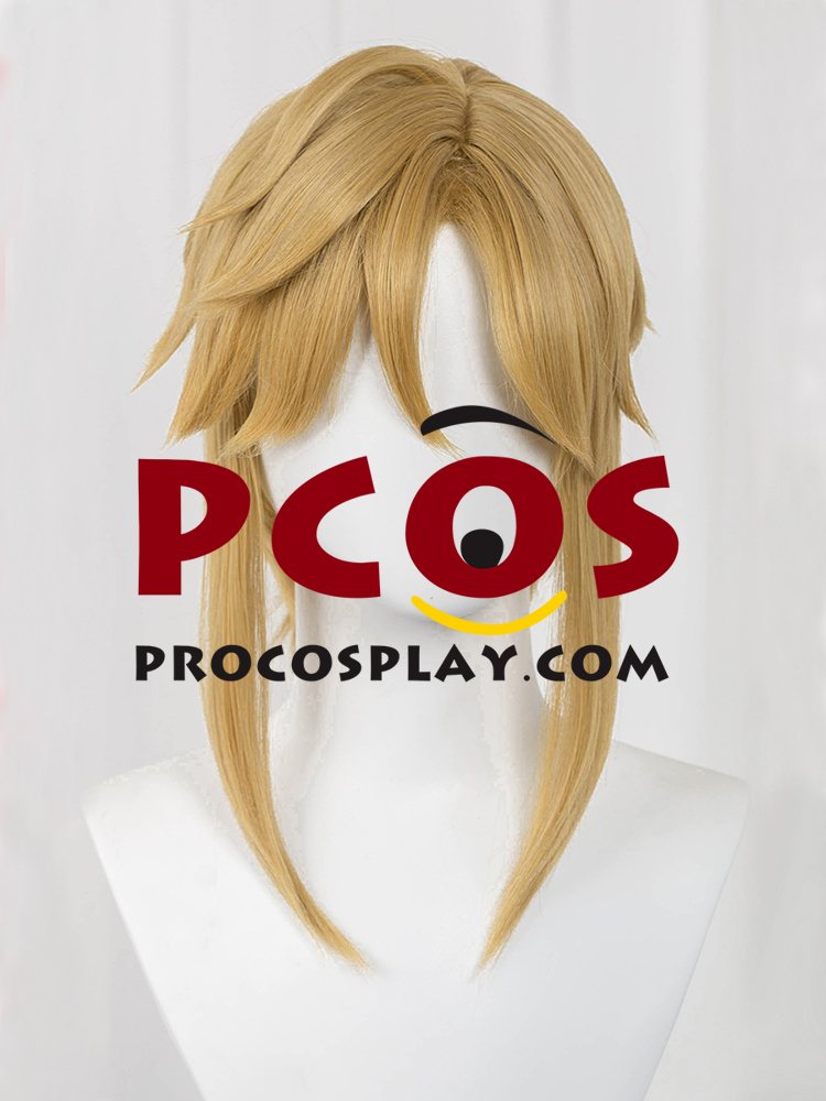 (image for) The Legend of Zelda: Tears of the Kingdom Link Cosplay Wigs C07731