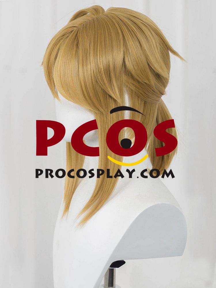 The Legend of Zelda: Tears of the Kingdom Link Cosplay Wigs C07731